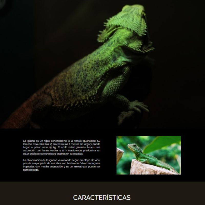 Work on a web page about iguanas, its description and characteristics where only html, css and flexbox are used.